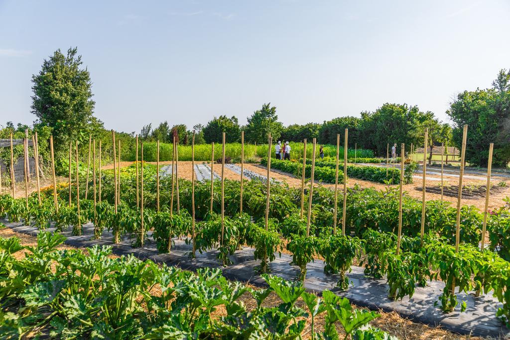 La Posa Degli Agri Bed & Breakfast Legnaro Екстериор снимка